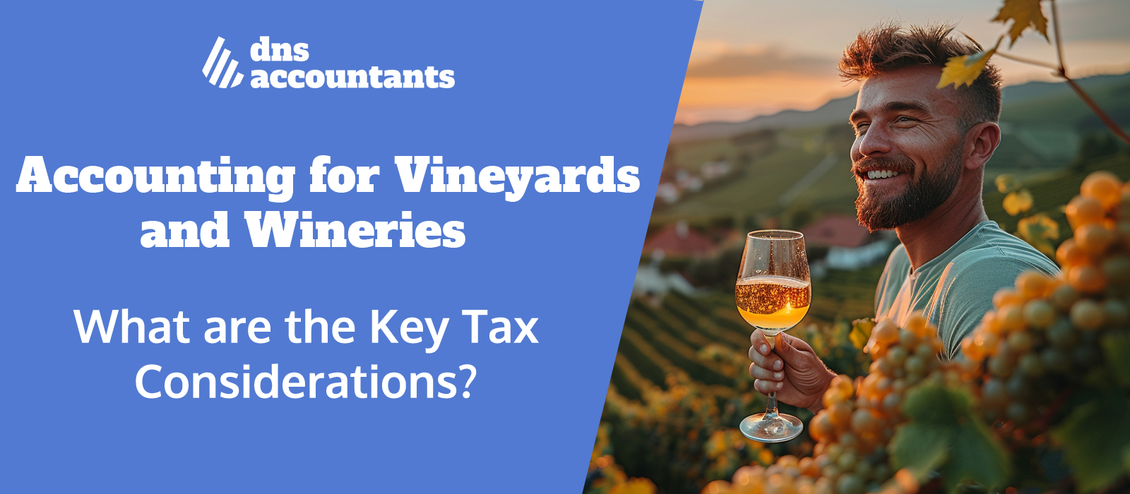 Accounting for Vineyards and Wineries: Key Tax Considerations